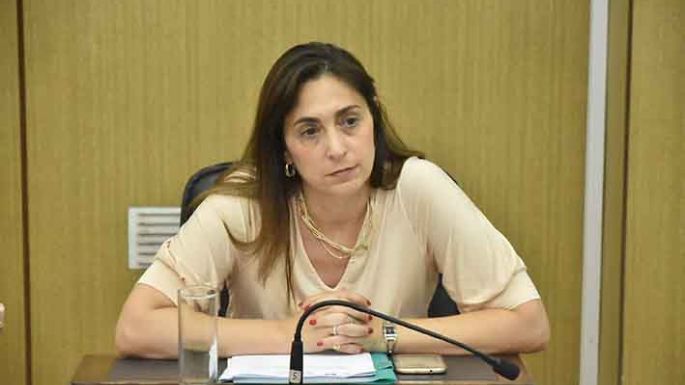 El oficialismo “desarrolló hostigamiento, presión y violencia institucional”