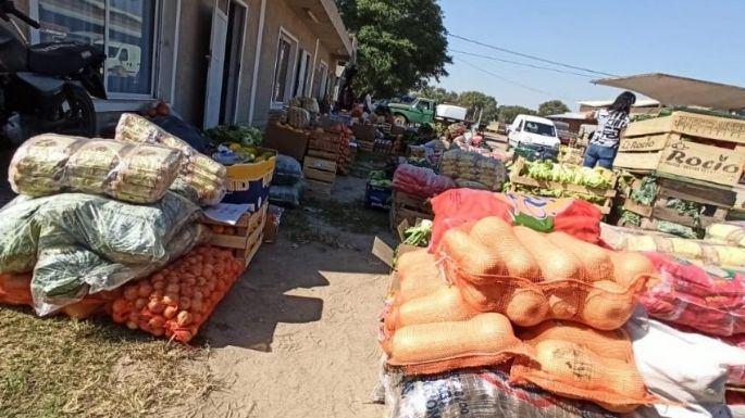 El municipio impulsa un proyecto de reducción de pérdidas de alimentos