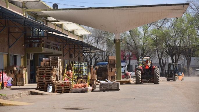 Buscando no perder alimentos