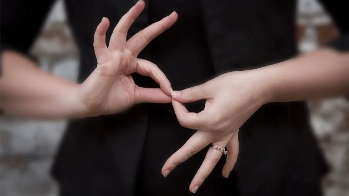 Traducirán todas las sesiones de la Legislatura