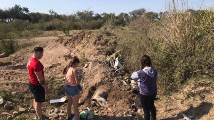 Muestran fotos de un caballo muerto cerca del río y piden parar con la tracción a sangre