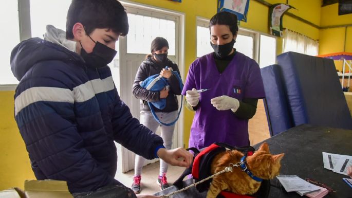 A través del CAM 220 animales fueron vacunados