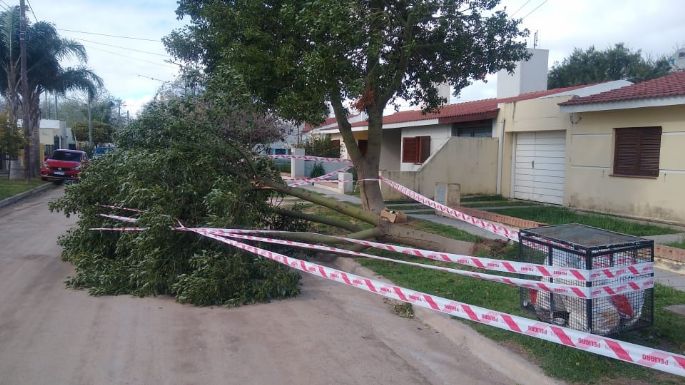 El intenso viento causó destrozos en la ciudad, pero no hubo que lamentar heridos