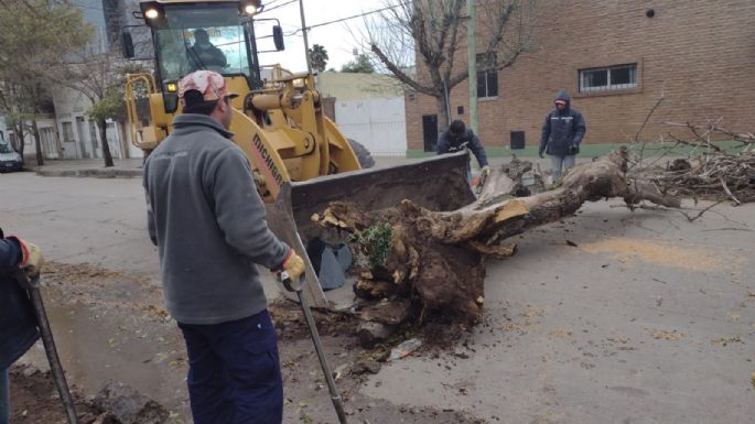 El intenso viento causó destrozos en la ciudad, pero no hubo que lamentar heridos