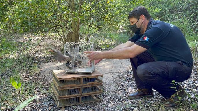 En el Día Mundial de las Aves, más de 50 especies regresaron a su hábitat natural