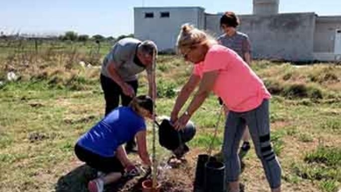 Voluntarios ocupados en la reforestación del medioambiente