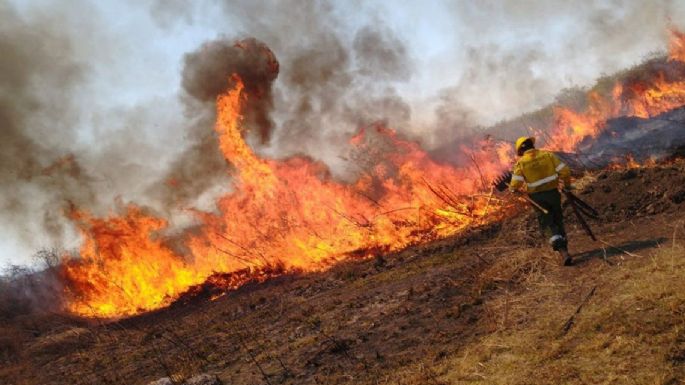 Incendios forestales: declaran la emergencia ígnea en todo el país por un año