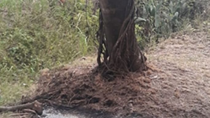 Piden no hacer fuego en sitios prohibidos