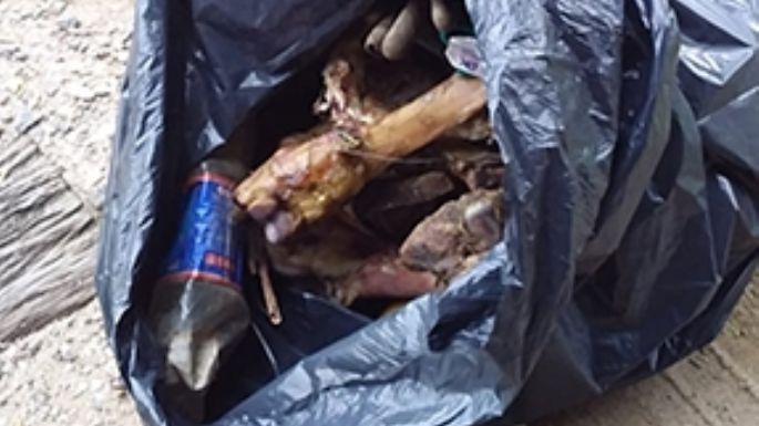 Quejas por animales sueltos y basura