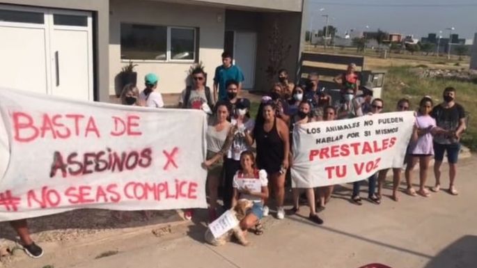 Justicia por Negrita: Arrastró seis cuadras a una perra hasta matarla