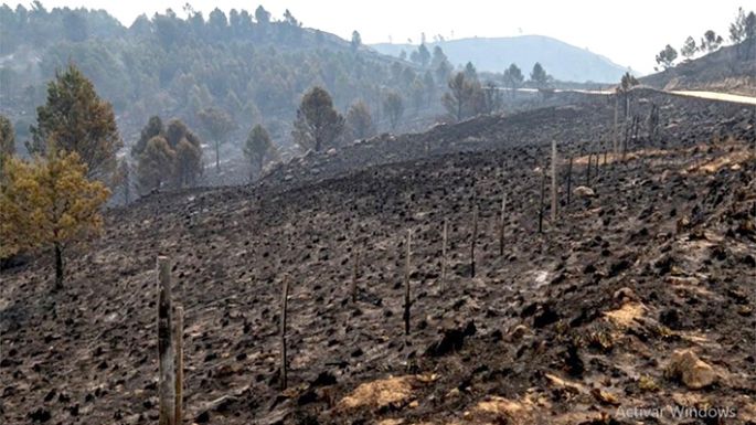 La provincia salió del “alerta extremo” por incendios forestales