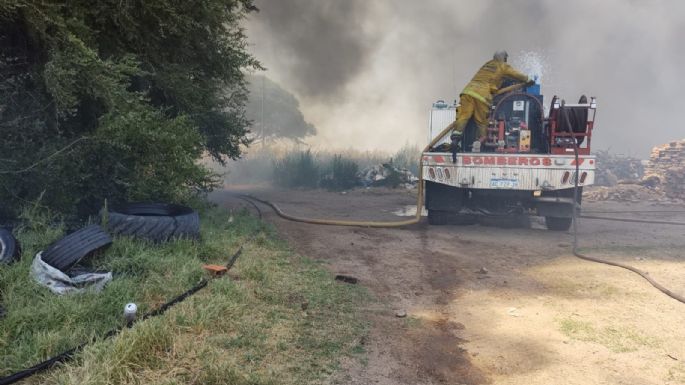 Incendio de pastizales en Buenos Aires y colectora