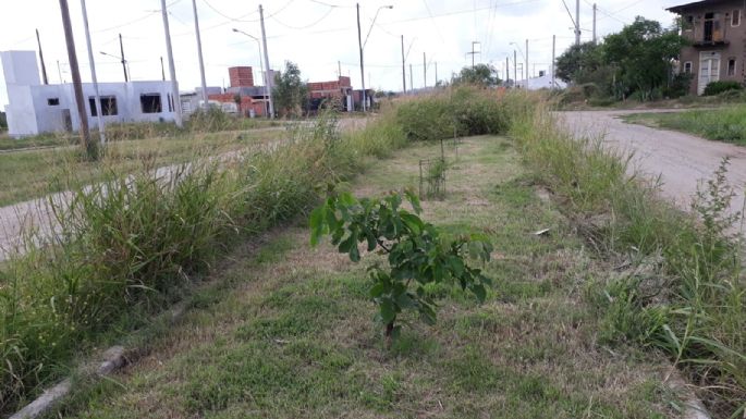 Piden mejoras para el barrio Padre Mugica