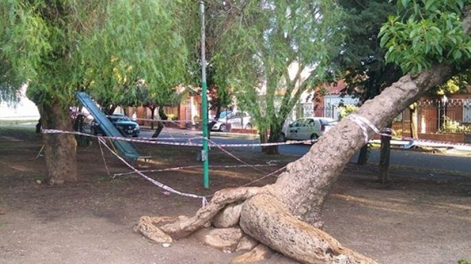 Murieron por electrocución un adolescente y un jubilado