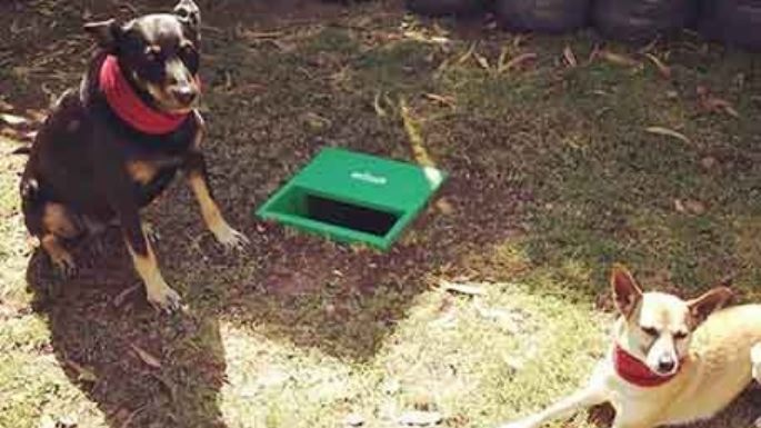 Un invento cordobés para el excremento de mascotas