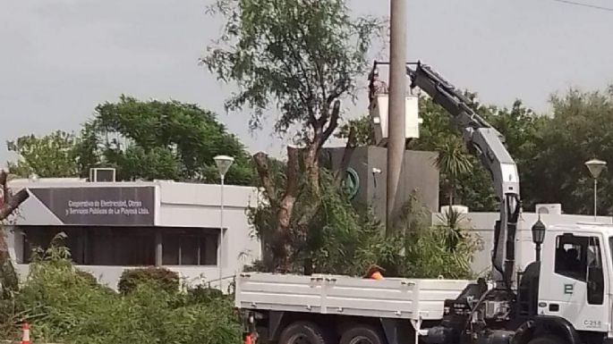 El municipio de La Playosa aclaró que no autorizó una poda de árboles realizada por EPEC
