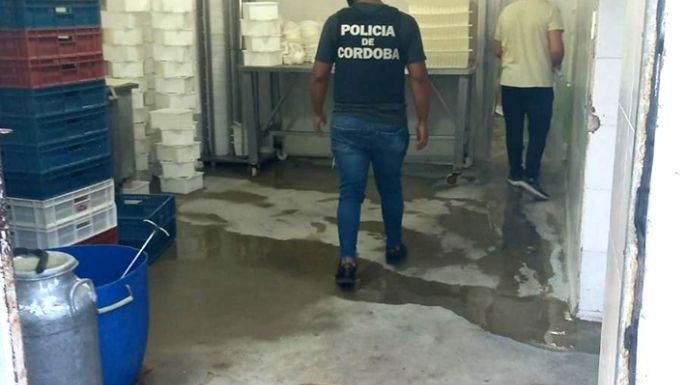 Allanaron una fábrica de quesos en Sanabria