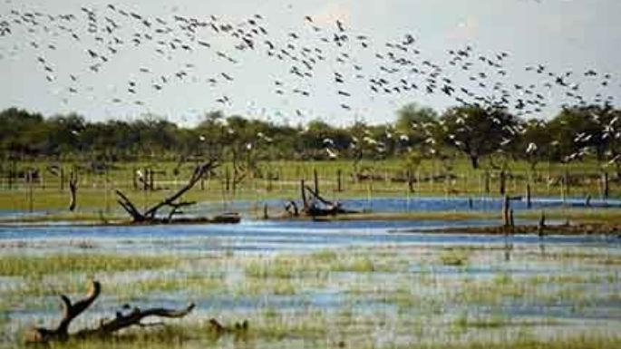 El Parque Nacional Ansenuza será “el tercero más grande”