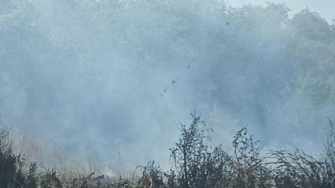 Se originó un incendio en el campo del Hospital Vidal Abal de Oliva