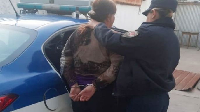 Detuvieron a una mujer por escándalos en la vía pública
