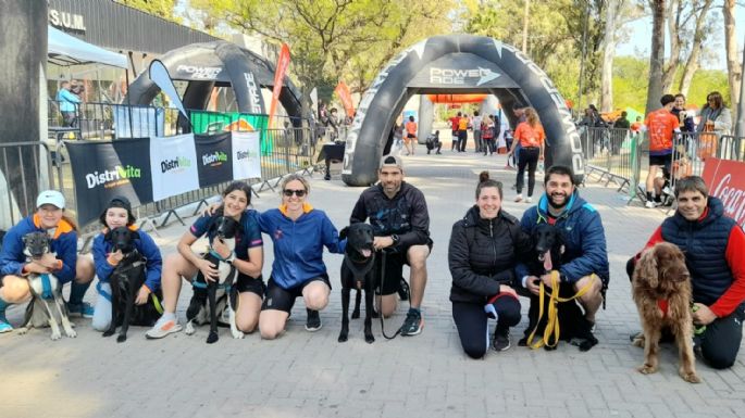 Experiencia única: maratonistas corrieron con sus mascotas