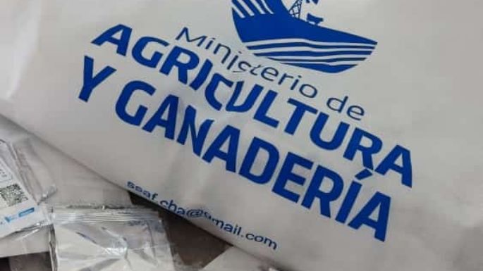 Ya están disponibles los kits de semillas de "La huerta en tu hogar"