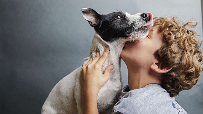 De qué manera los perros perciben lo que sentimos