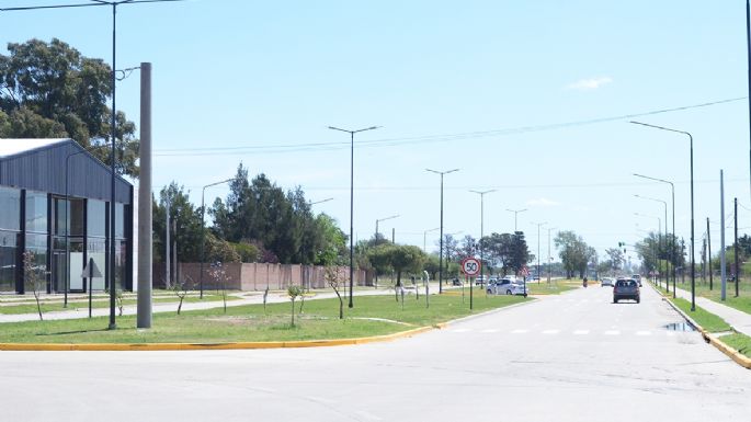 Bajo la impronta  del mutualismo