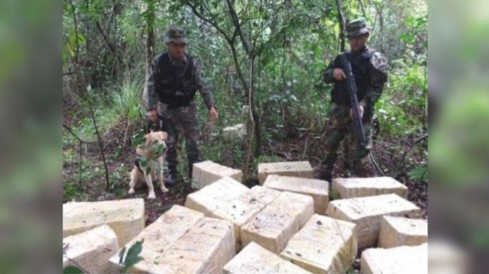 Secuestraron más de 730 kilos de marihuana