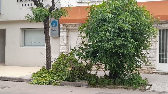 Vientazo: Las ráfagas llegaron hasta 70km/h en la ciudad