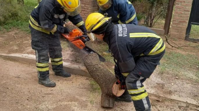 El fuerte viento causó la caída de un árbol y voladura de chapas