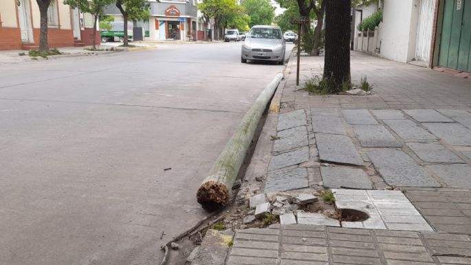 Las ráfagas de viento llegaron ayer a los 80 km/hora