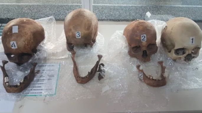 Secuestraron 4 cráneos humanos que traía una pasajera de colectivo desde Paraguay
