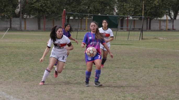 Pueden moverse en las alturas