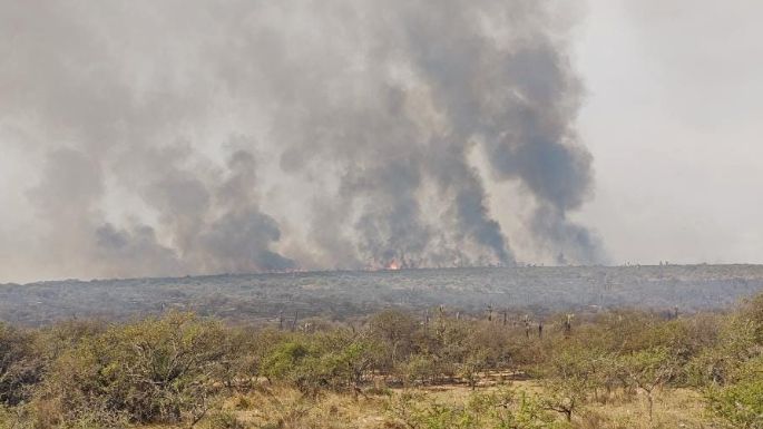 Rige una alerta por condiciones meteorológicas de peligro