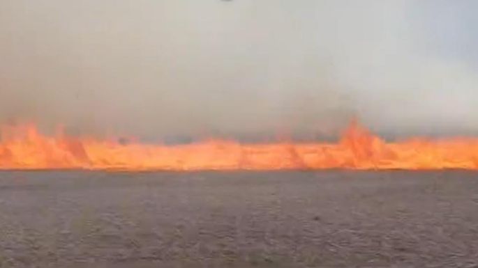 Quedó controlado un incendio de grandes proporciones