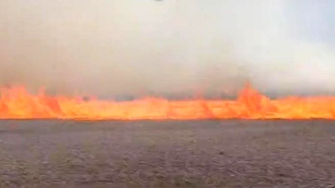 Un incendio se extendió 50 km