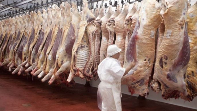 La faena vacuna  creció 1,8%  interanual al  totalizar 1,1  millón de cabezas
