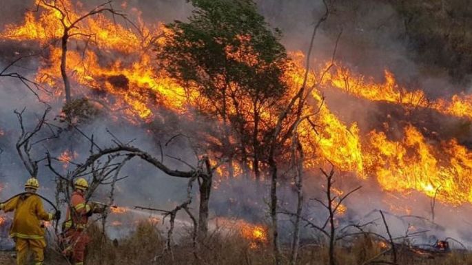 Declaran "alerta ambiental" por riesgo de incendios forestales en la provincia