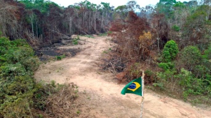 Brasil: se redujo un 33% la deforestación de la Amazonía