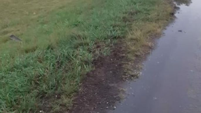 Hay un hombre detenido por el accidente donde falleció una niña