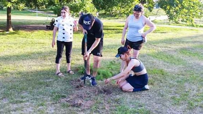 Plantaron árboles en la Plaza de la Juventud