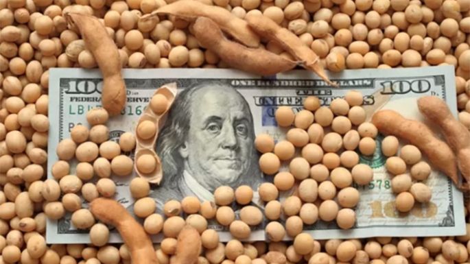 Estiman que el nuevo dólar soja sumará más de USD 3.000 millones a reservas