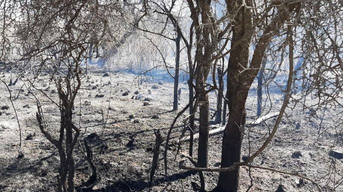 Bomberos controlaron el incendio en proximidades de Ambul