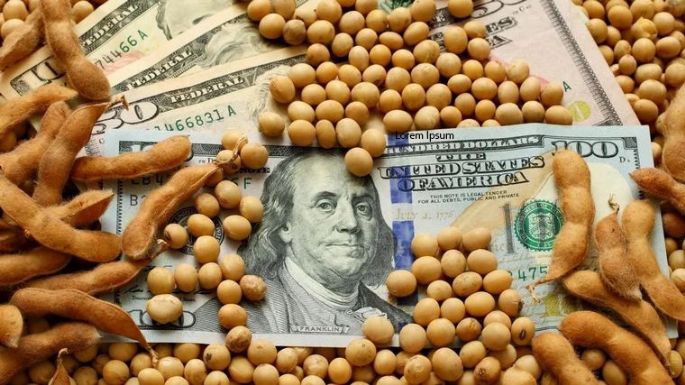 Nuevo dólar soja: el Banco Central  compró ayer casi USD 200 millones