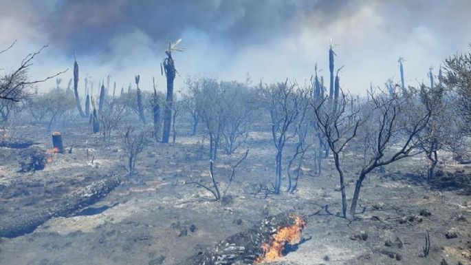 Focos de incendios en tres provincias