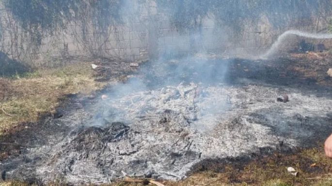 Bomberos sofocaron un incendio de pastizales