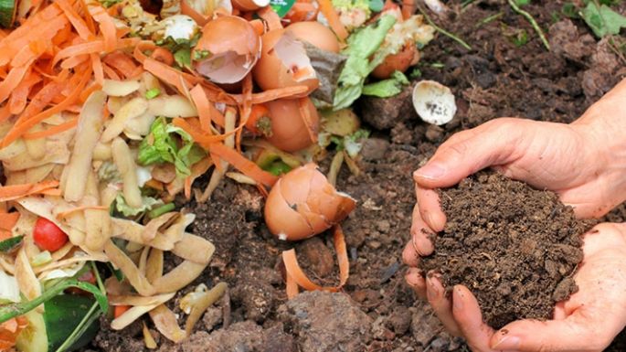 Realizarán un taller sobre compost