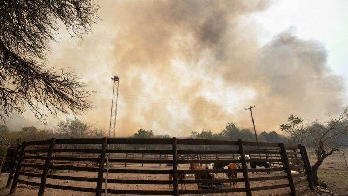 Córdoba solicitó a Nación homologar el decreto de emergencia agropecuaria