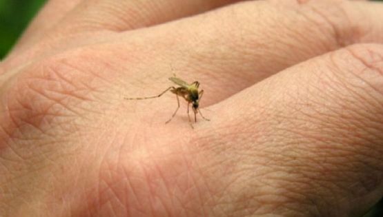 Dengue: se duplicaron los casos